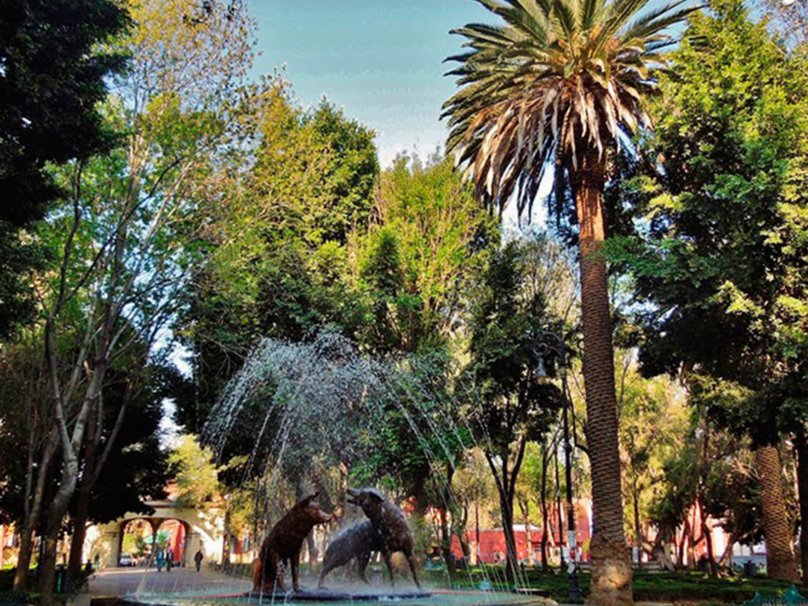 MAQ 845 Coyoacán